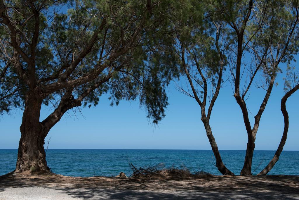 Villa Rea'S Sea House à Kato Galatas Extérieur photo
